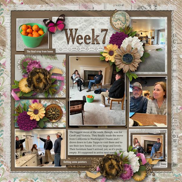 Week 7 of 52