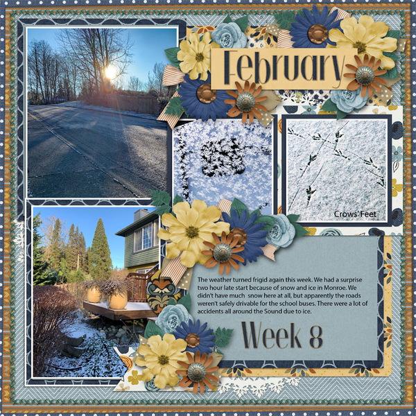 Week 8 of 52 2