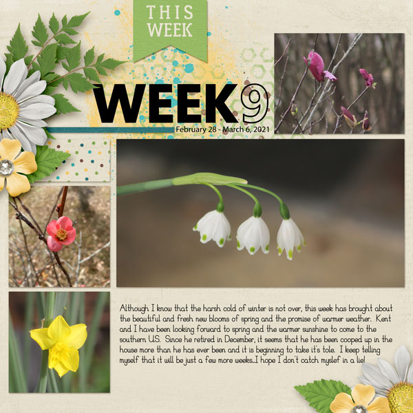 Week 9 Feb 28 - Mar 6