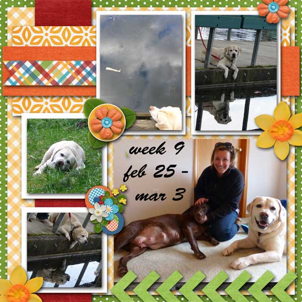 week-9_-2013