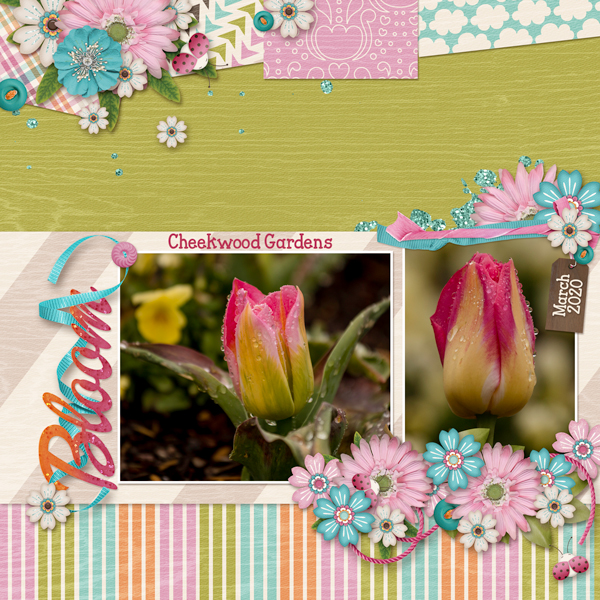 Week One - Bloom