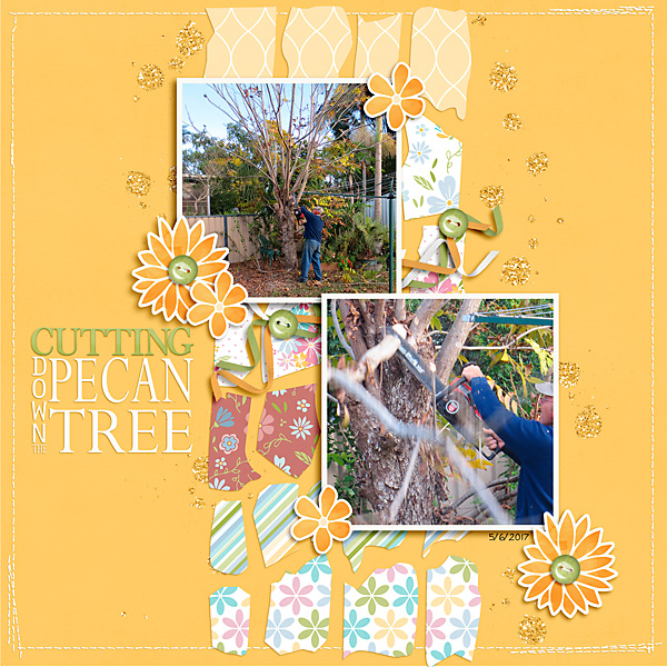 Week One - Cutting Down the Pecan Tree