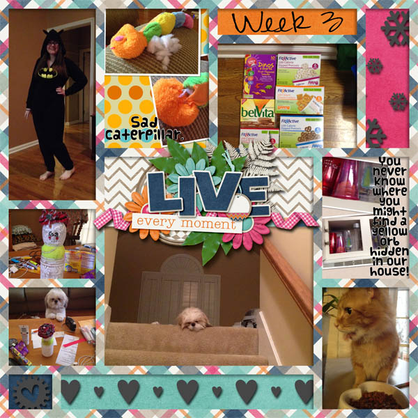 Week3L_2014_P2014Jan_cap_LKD_MyStoryv3