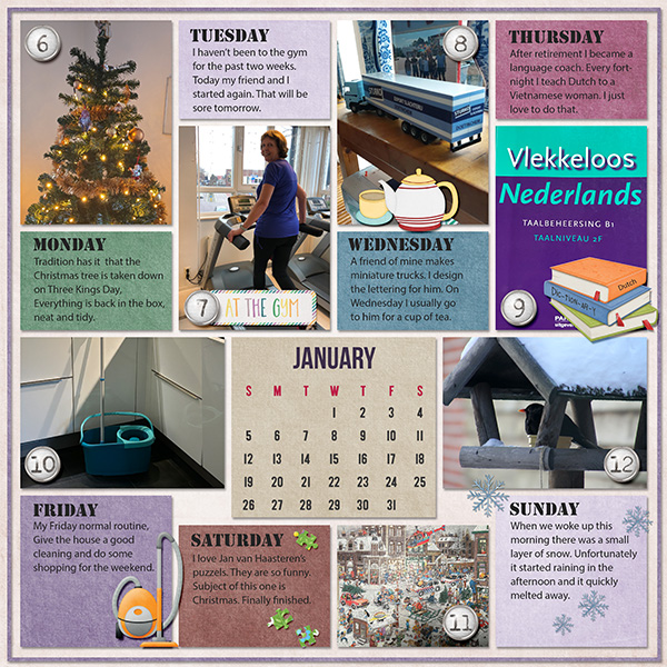 Weekly project January