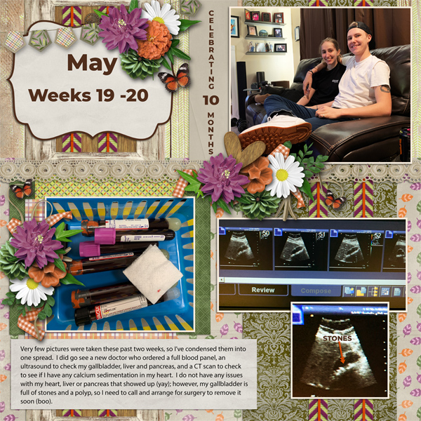 Weeks 19 -20