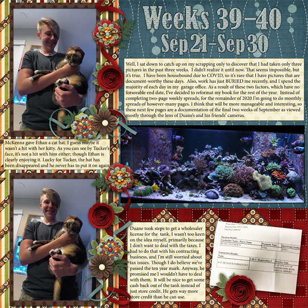Weeks 39-40