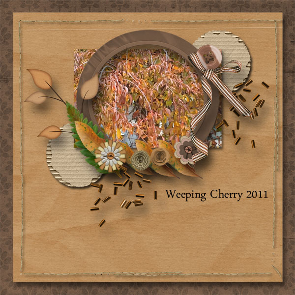 Weeping Cherry