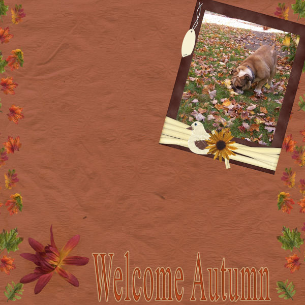 Welcome Autumn