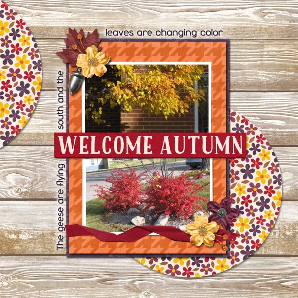 Welcome Autumn