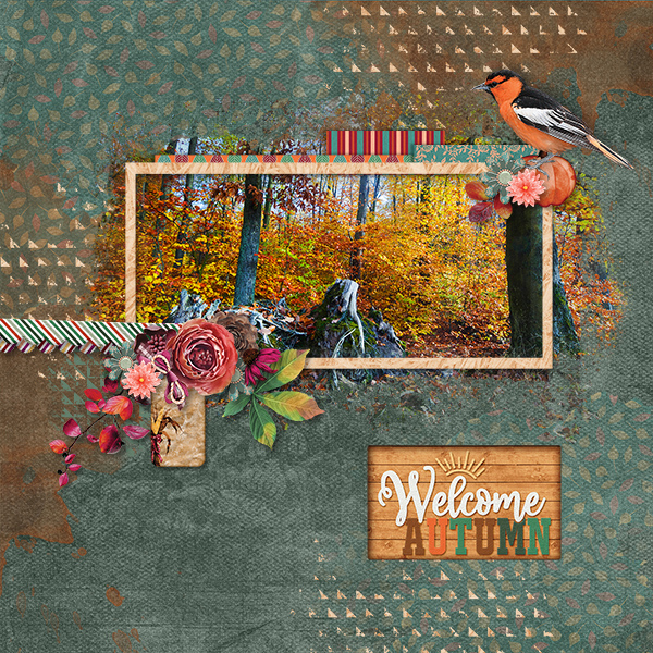 Welcome Autumn