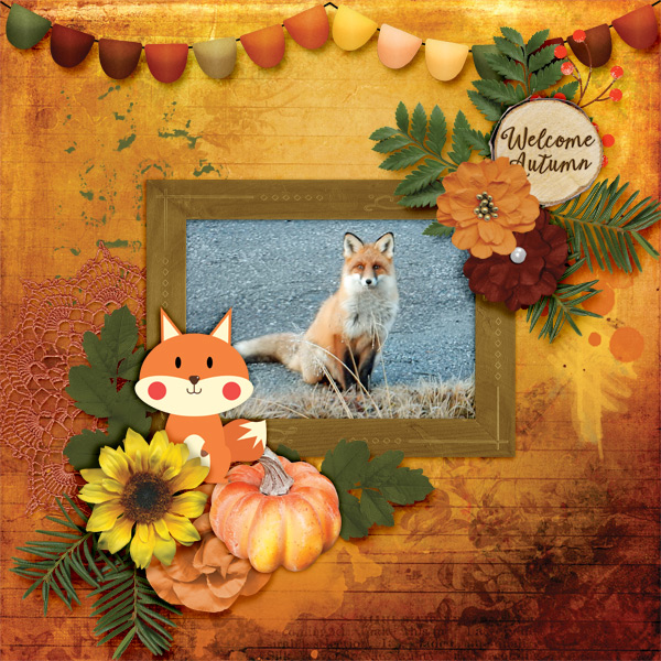 Welcome-autumn5
