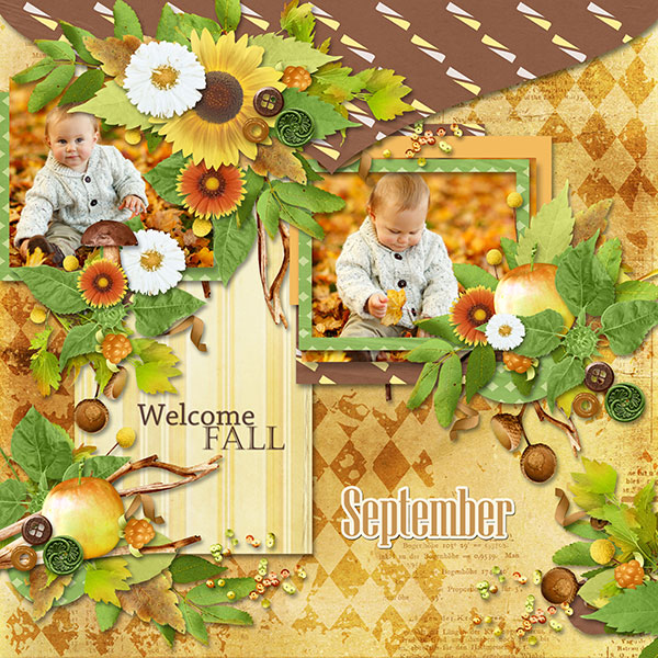 welcome-fall