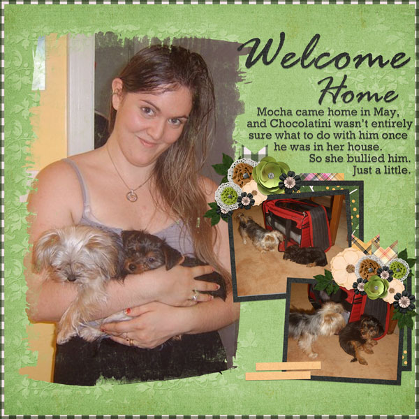 Welcome Home, Mocha