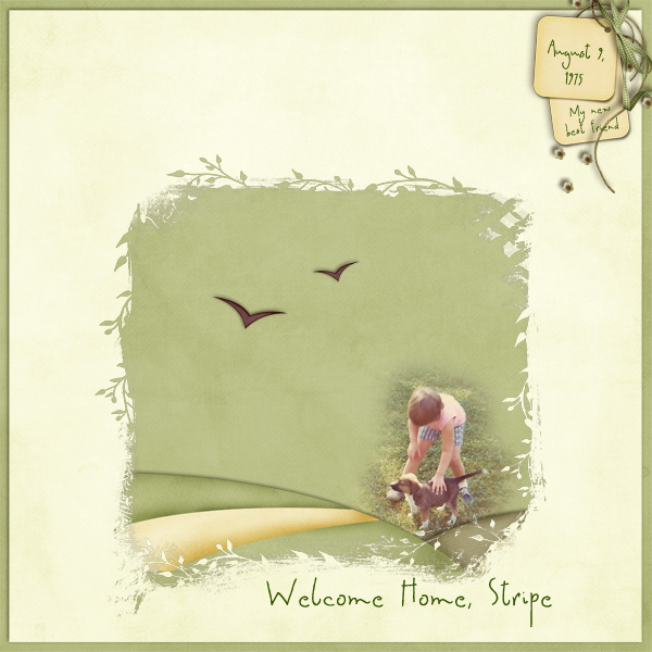 Welcome Home Stripe!