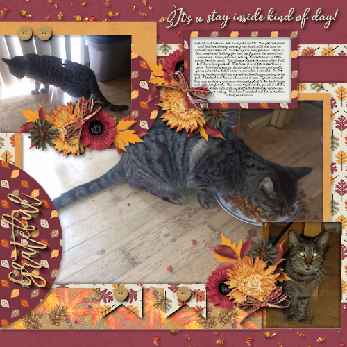 Welcome Home, Tigress!