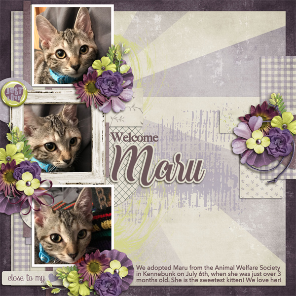 Welcome Maru