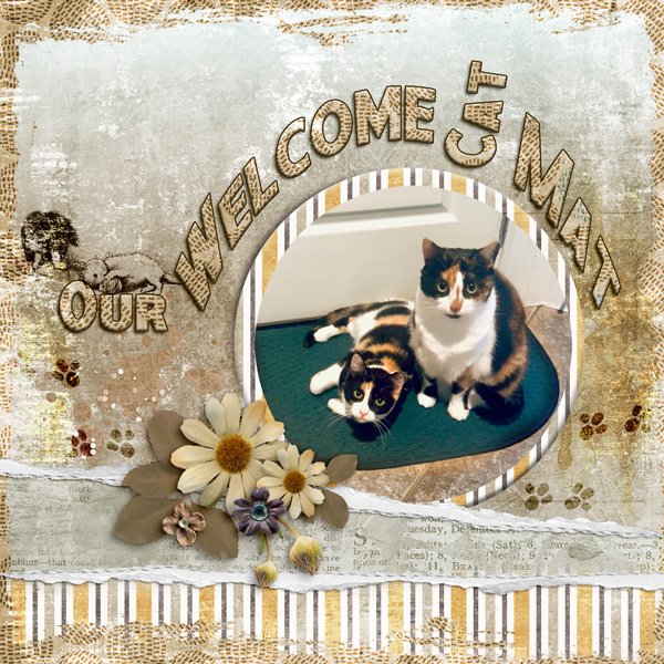 Welcome Mat Cats