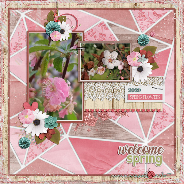 welcome spring 2020