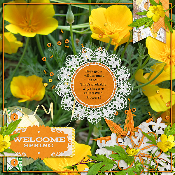 Welcome Spring!