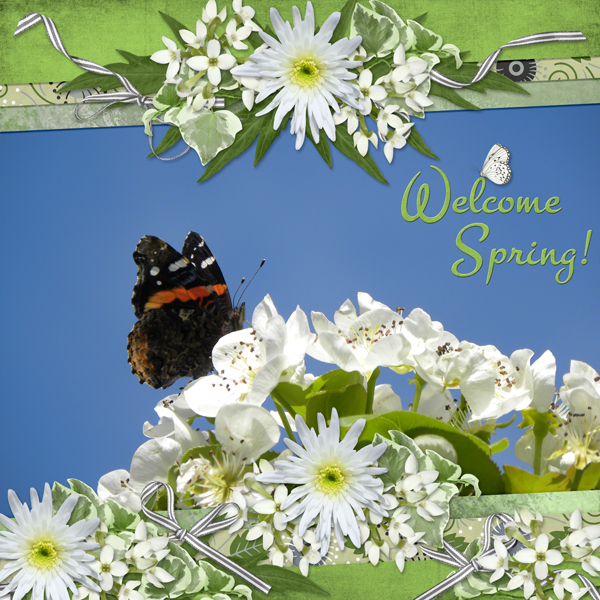 Welcome Spring