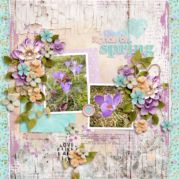 Welcome Spring