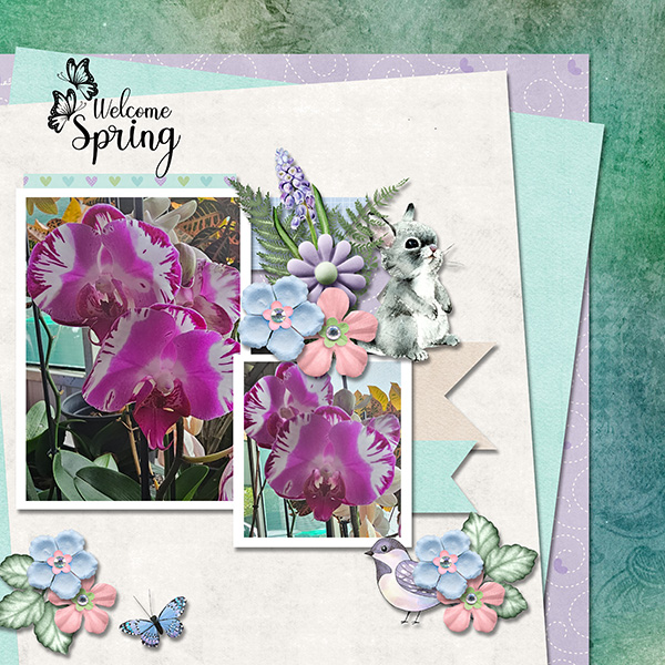 Welcome Spring