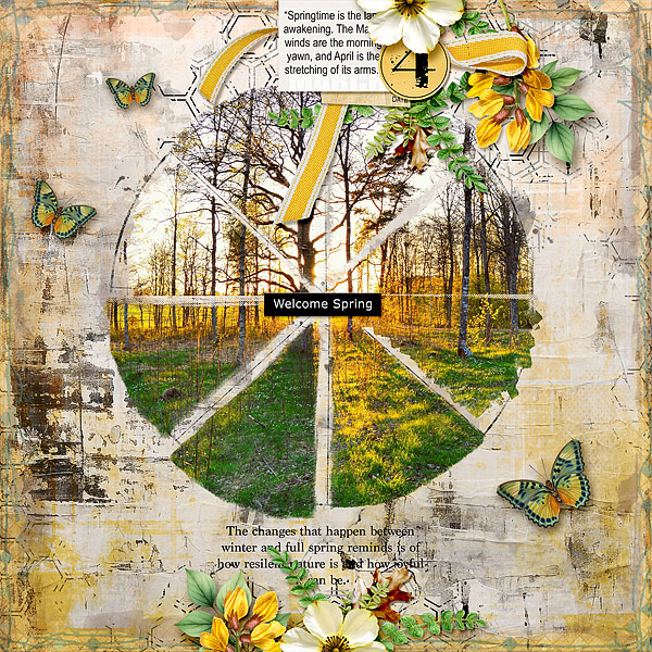 Welcome Spring