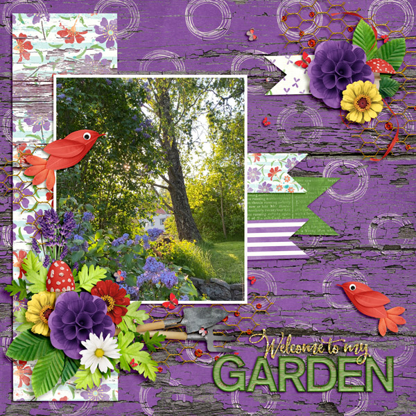 Welcome to my garden