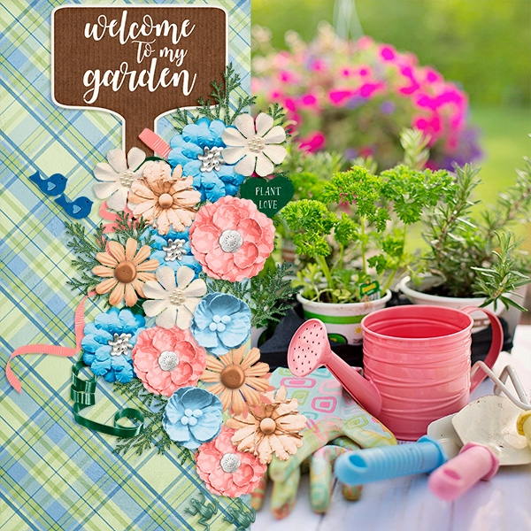 Welcome To My Garden