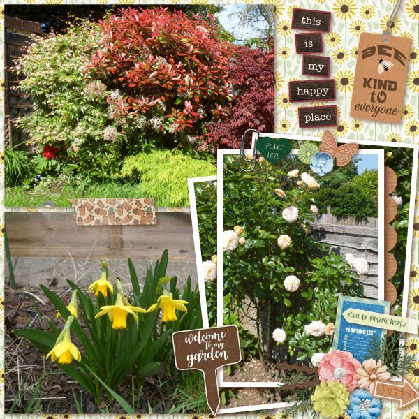 Welcome To My Garden