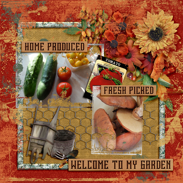 Welcome-to-my-garden1