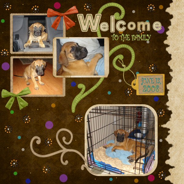 Welcome to the Family
