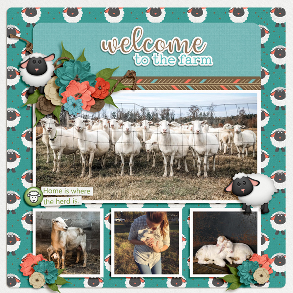 Welcome to the Farm