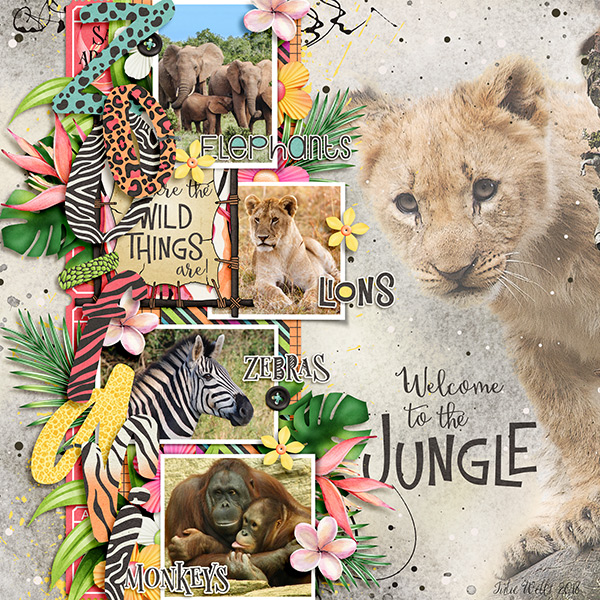 welcome to the jungle