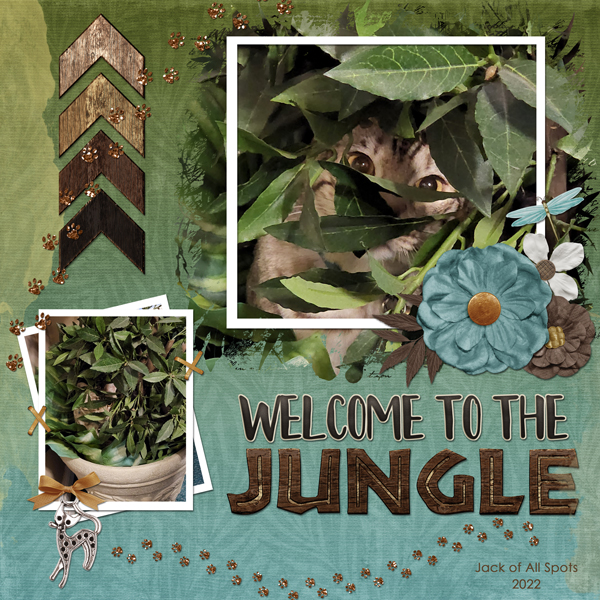Welcome To The Jungle