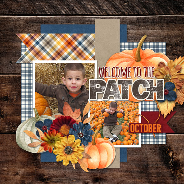 Welcome To The Patch