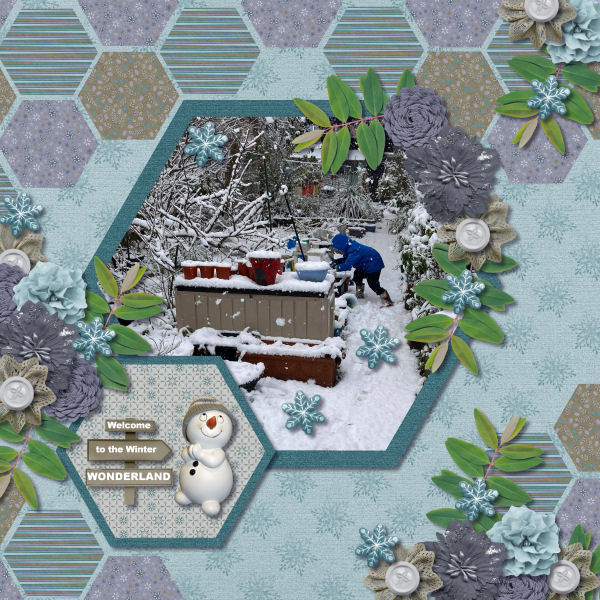 Welcome to the Winter Wonderland