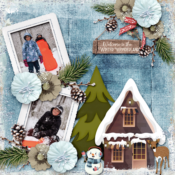 Welcome to Winter Wonderland