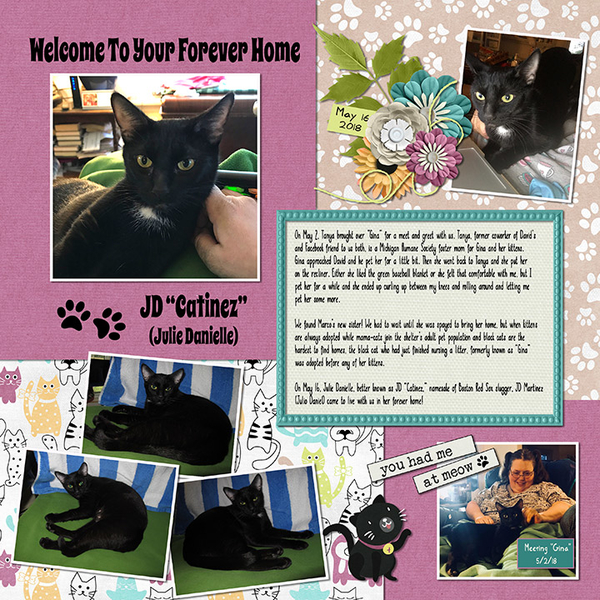 Welcome To Your Forever Home