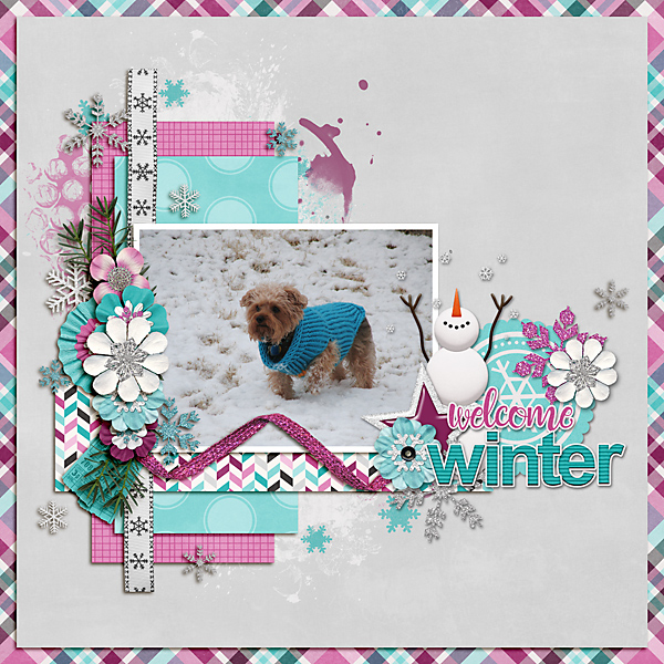 Welcome Winter