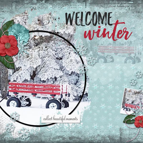 Welcome Winter
