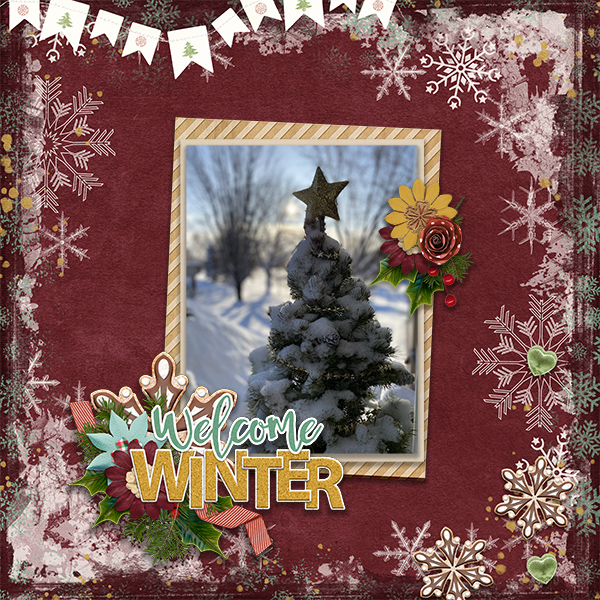 Welcome Winter