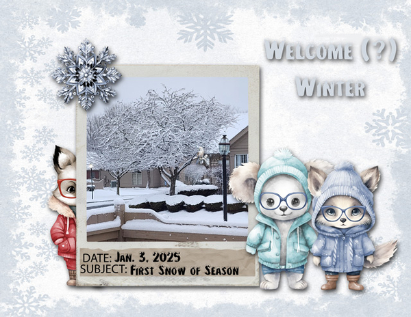 Welcome (?) Winter
