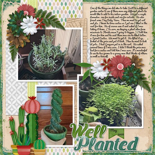 Well Planted