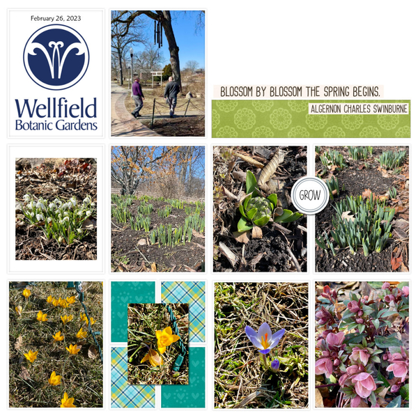 Wellfield Botanic Gardens 2-26-23 (Page 1)