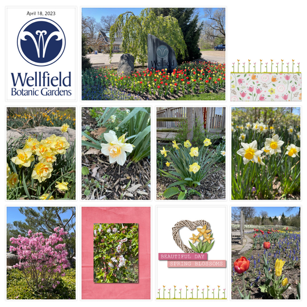 Wellfield Botanic Gardens Page 1