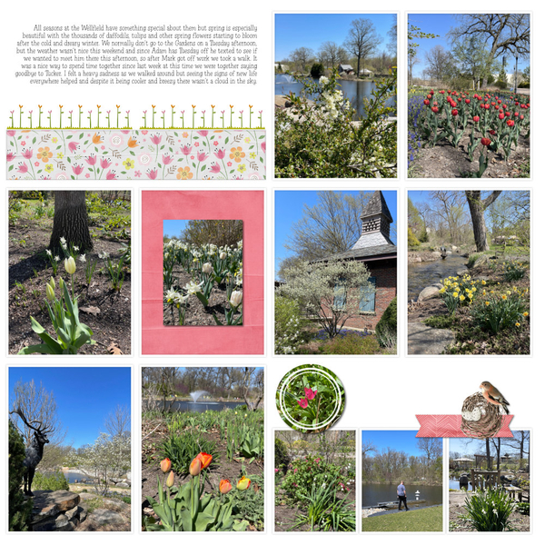 Wellfield Botanic Gardens Page 2