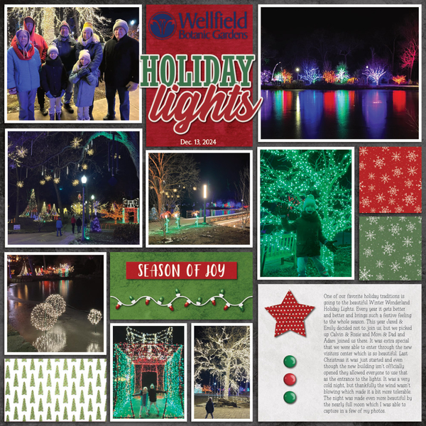 Wellfield Christmas 12-13-24-1