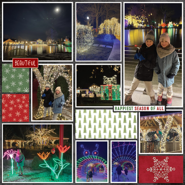 Wellfield Christmas 12-13-24-2