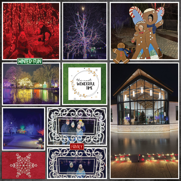 Wellfield Christmas 12-13-24-4